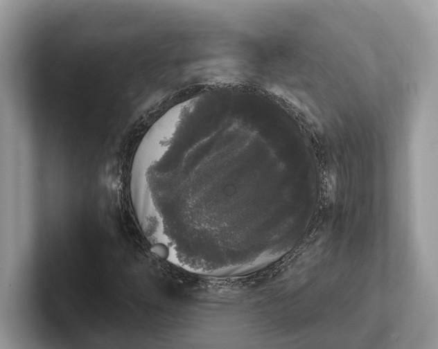 X0000101461254200807211326