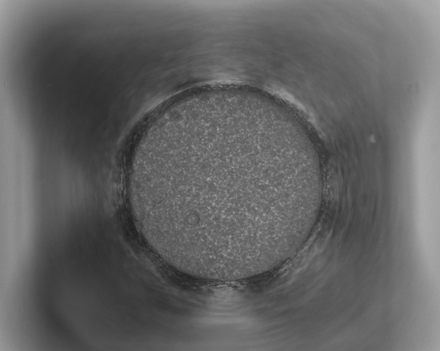 X0000101461255200807211326
