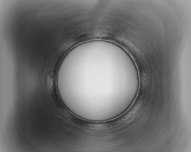 X0000101461257200807211326