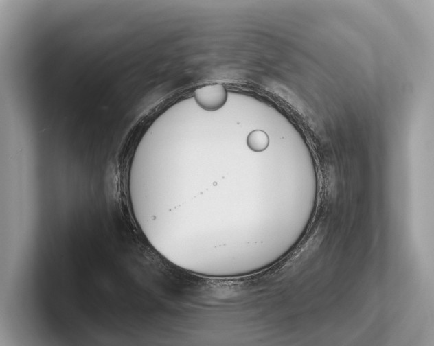 X0000101461258200807211326