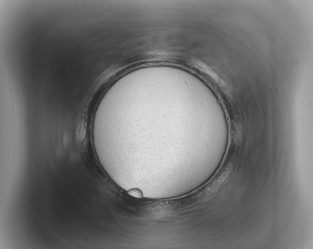 X0000101461259200807211326