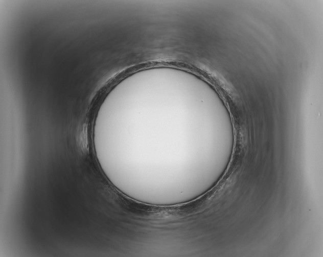 X0000101461262200807211326