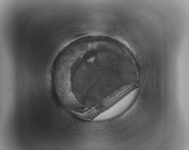 X0000101461263200807211326
