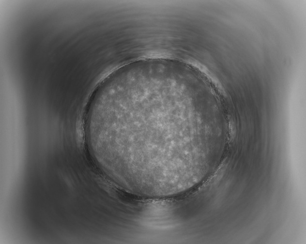 X0000101461266200807211326