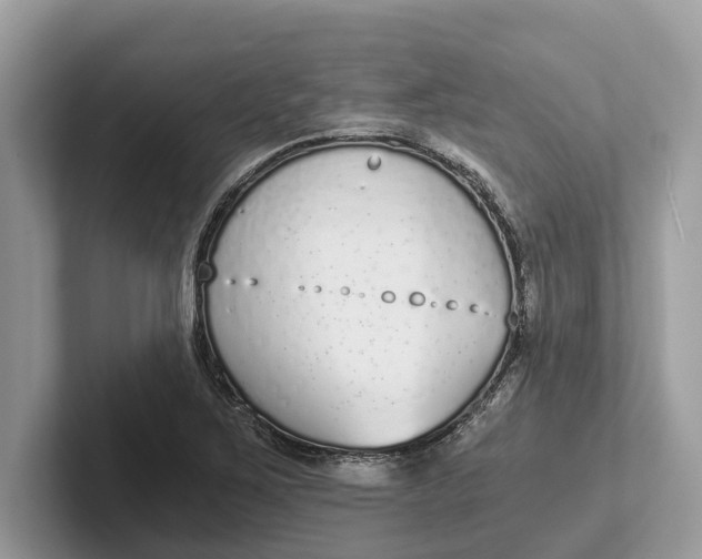 X0000101461267200807211326