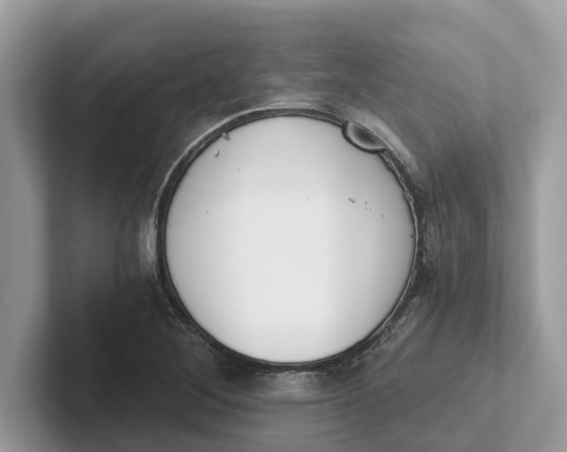 X0000101461268200807211326