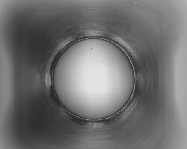 X0000101461269200807211326