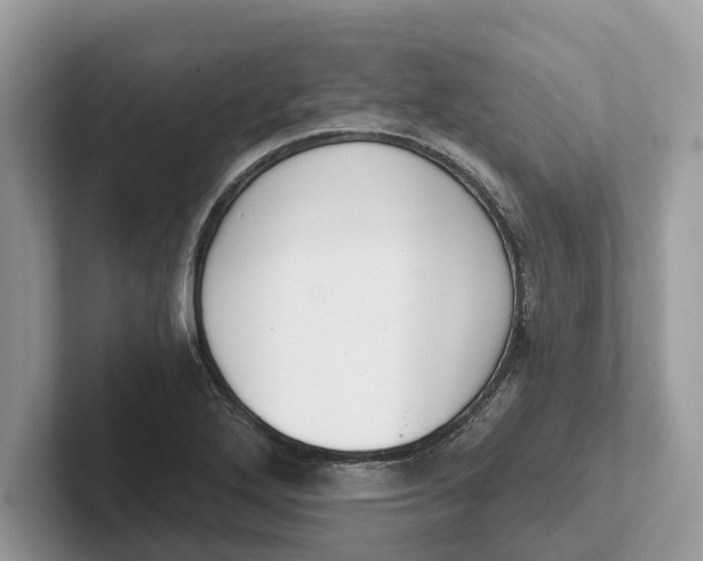 X0000101461272200807211326