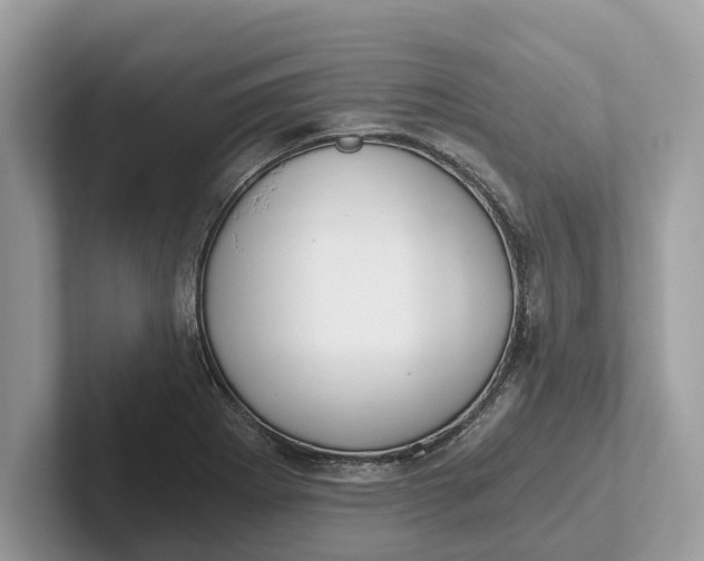 X0000101461273200807211326