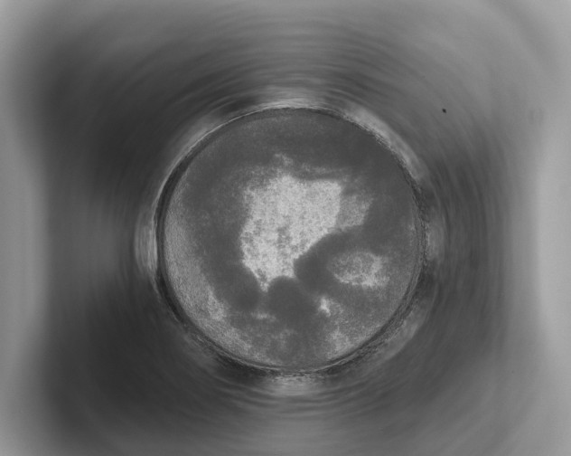 X0000101461274200807211326