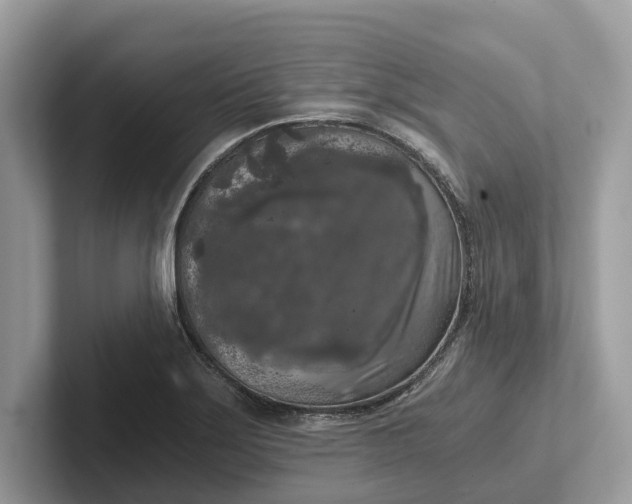 X0000101461275200807211326