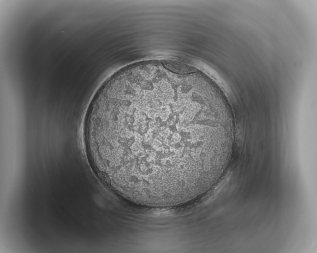 X0000101461283200807211326