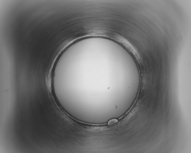 X0000101461284200807211326