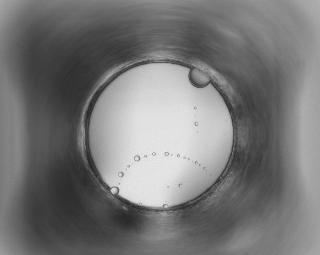 X0000101461286200807211326