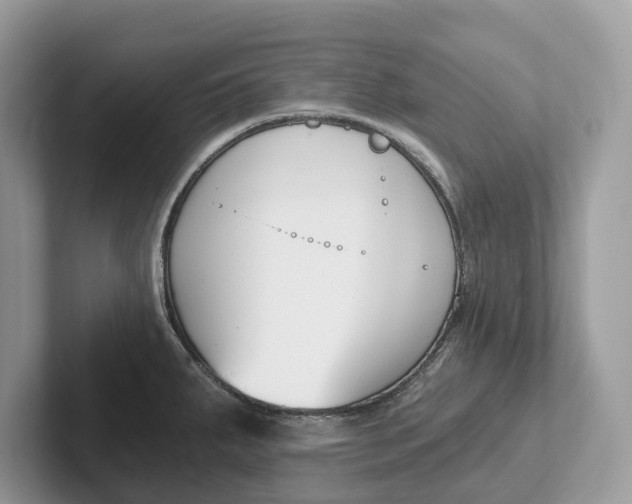 X0000101461287200807211326