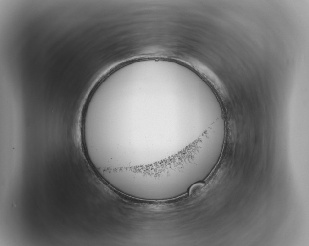 X0000101461288200807211325