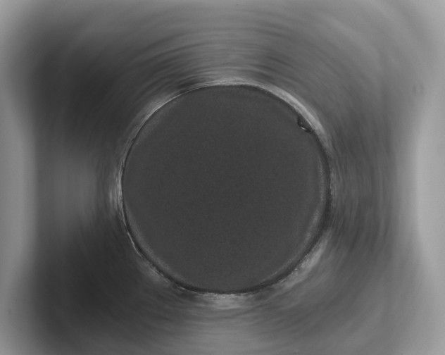 X0000101461289200807211325