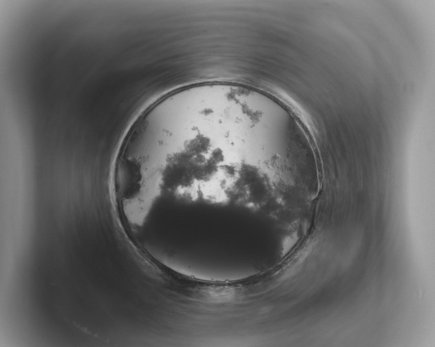 X0000101461291200807211325