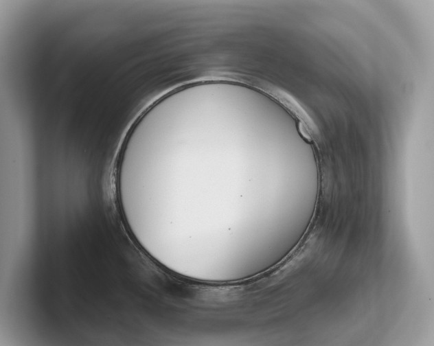 X0000101461292200807211325
