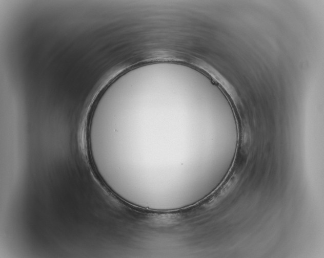 X0000101461293200807211325
