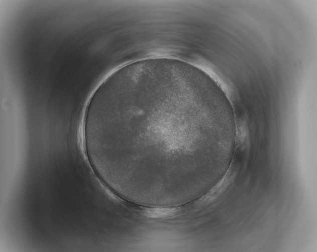 X0000101461294200807211325