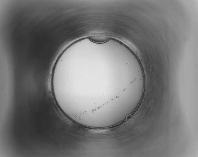 X0000101461296200807211325