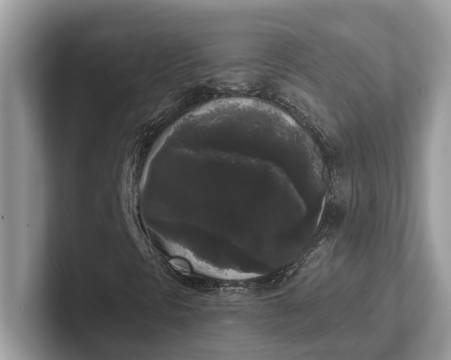 X0000101461297200807211325