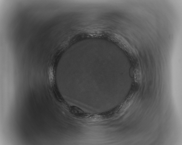 X0000101461298200807211325