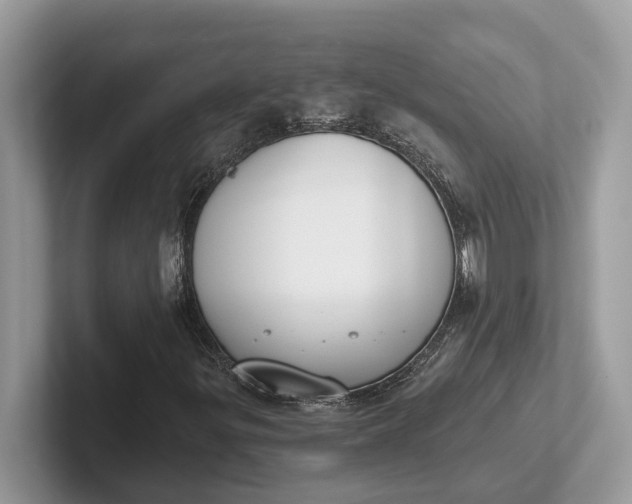 X0000101461299200807211325