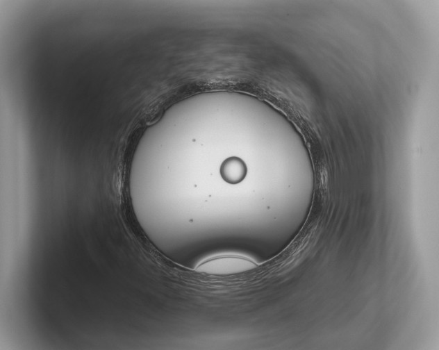 X0000101461300200807211325
