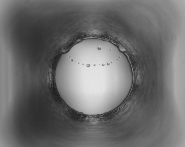 X0000101461301200807211325