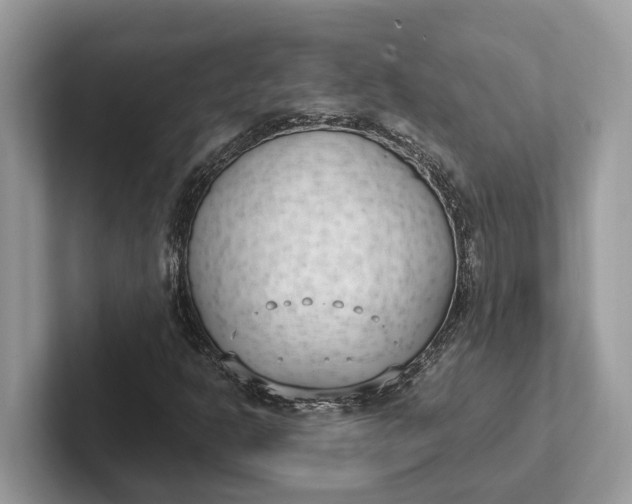 X0000101461302200807211325