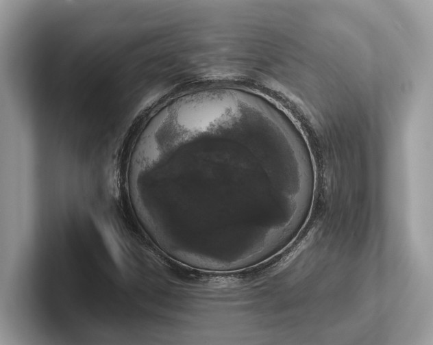 X0000101461306200807211325