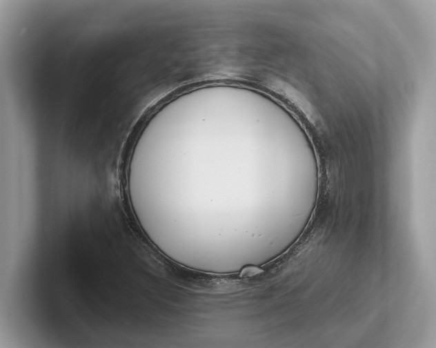 X0000101461308200807211325