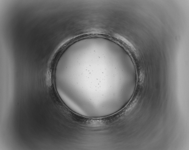 X0000101461310200807211325