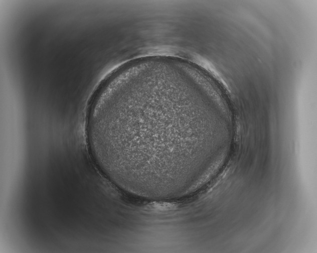 X0000101461312200807211325