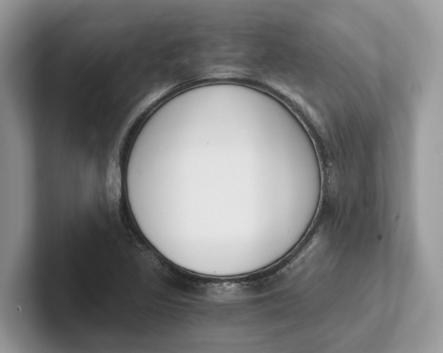 X0000101461317200807211325