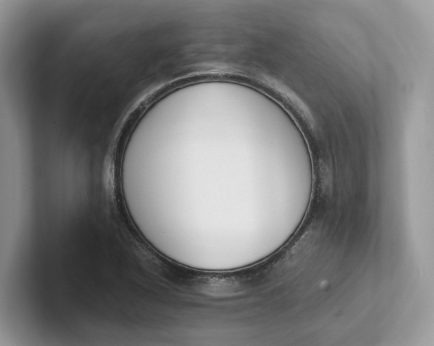 X0000101461318200807211325