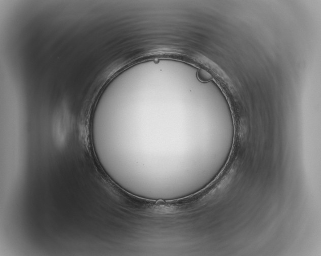 X0000101461321200807211325