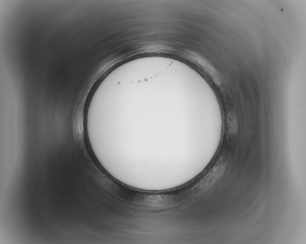X0000101461322200807211325