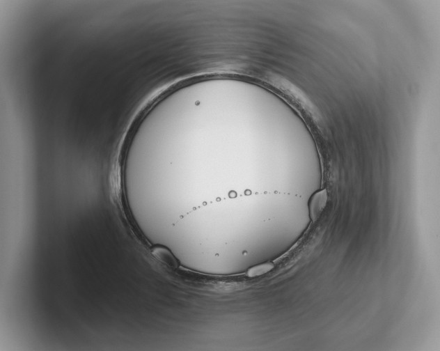 X0000101461324200807211325