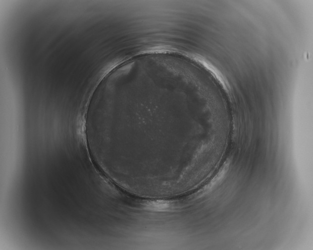 X0000101461329200807211325