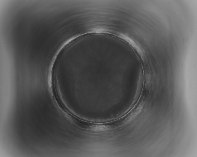 X0000101461331200807211325
