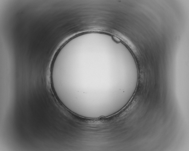 X0000101461332200807211325