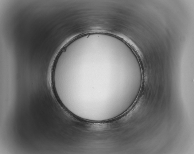 X0000101461333200807211325