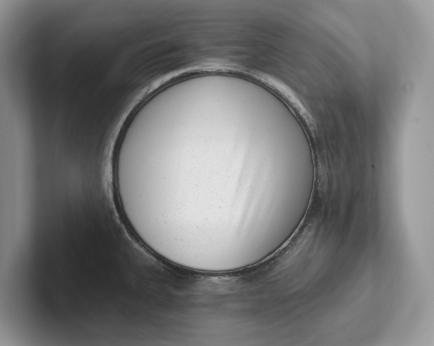 X0000101461335200807211325