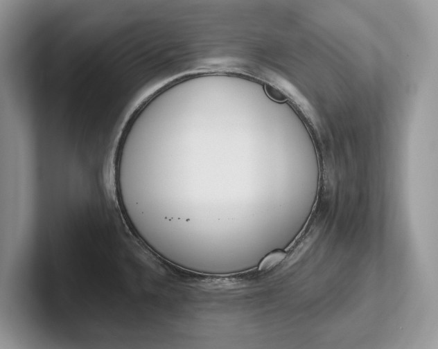 X0000101461336200807211325