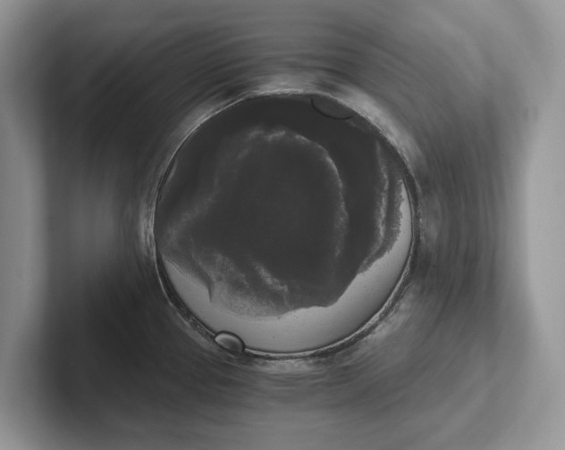 X0000101461337200807211325