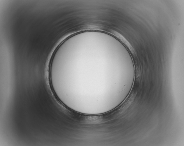 X0000101461339200807211325