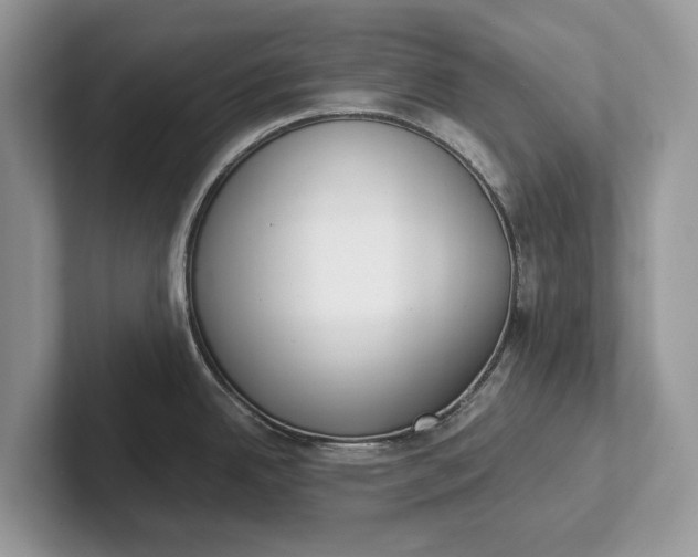 X0000101461342200807211325